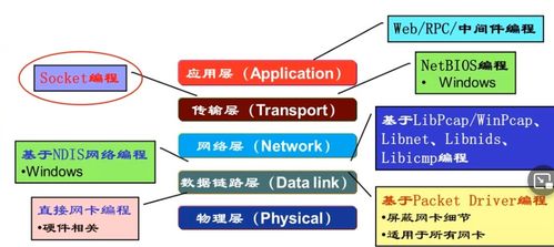 计算机网络网络应用之Socket编程基础与应用API详解