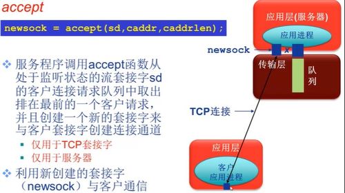 计算机网络学习笔记（四） Socket编程入门指南